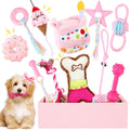 Girl Dog Birthday Gift Kit - Pink