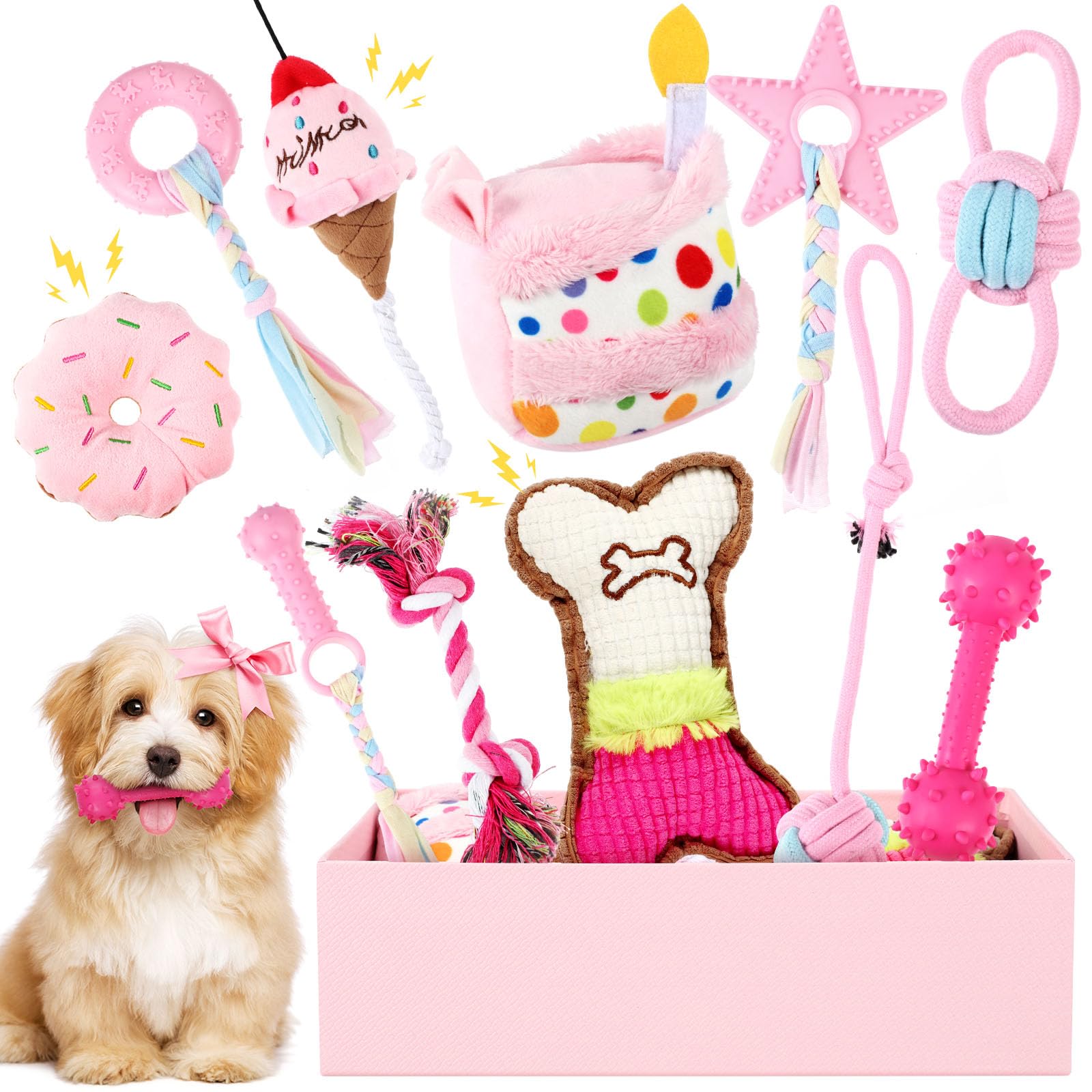 Girl Dog Birthday Gift Kit - Pink