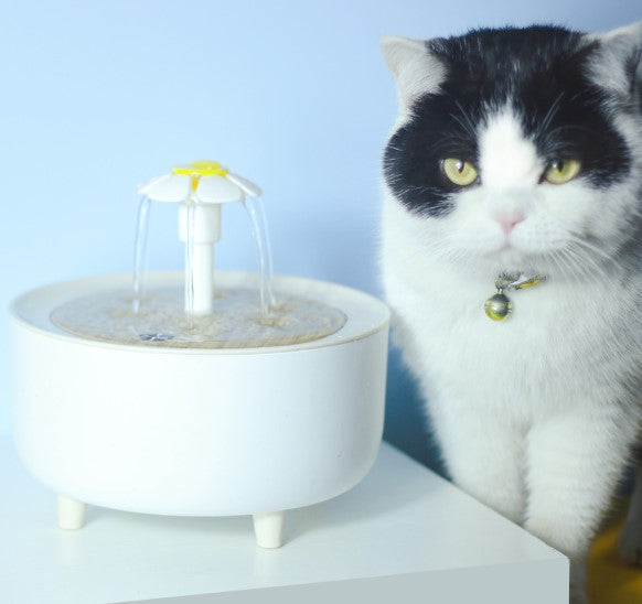 Flower Pet Water Fountain