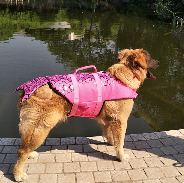 Shark / Mermaid Life Jacket for Pets