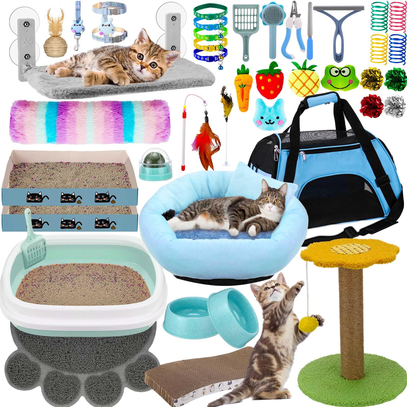 Kitten Starter Kit - 40 Items